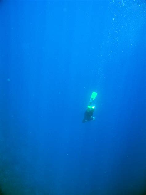 Diving Maldives 2009 Going Down Christian Jensen Flickr
