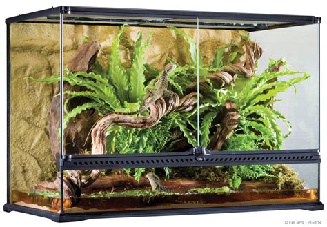 Cause it's my first con. PT2614 EXO TERRA GLASS TERRARIUM LARGE/TALL - ExoReptiles ...