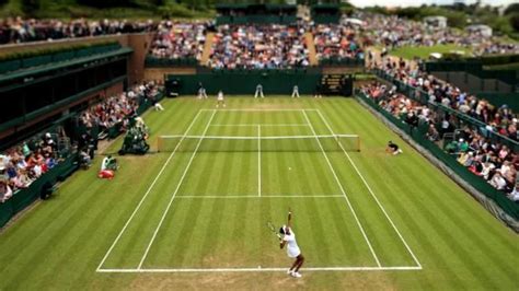 Wimbledon is contested in conditions in which players do not typically train or compete. Image result for wimbledon grass courts