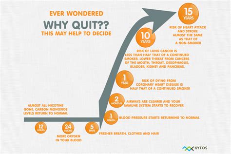 We did not find results for: Quitting smoking benefits | Kytos