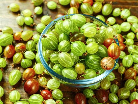 How To Grow And Care For Gooseberries Lovethegarden
