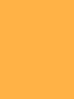 Bright orange color by anitra. Pastel orange / #ffb347 hex color