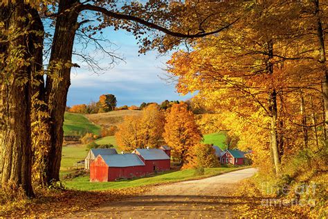 Fall Dawn In Vermont Photograph By Brian Jannsen Fine Art America