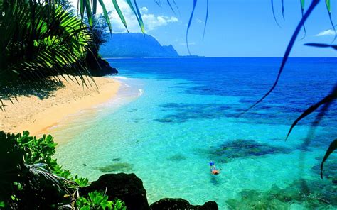 Hawaiianischer Strand Landschaft 18 1680x1050 Wallpaper