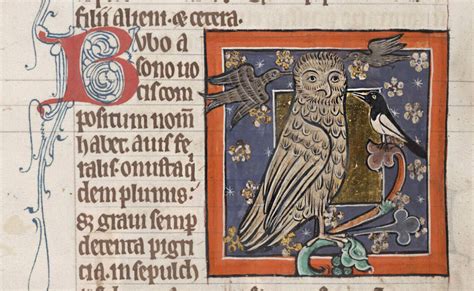 The Bad Side Of The Medieval Bestiary Brewminate A Bold Blend Of