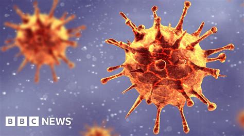 Coronavirus Mutations Scientists Puzzle Over Impact Bbc News