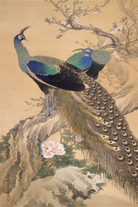 A Pair Of Peacocks In Spring Art Print By Imao Keinen Icanvas
