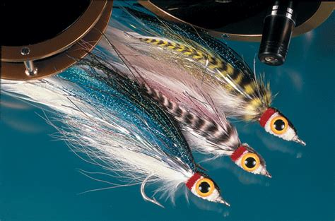 Fly Fishing For Inland Striped Bass Fly Fisherman