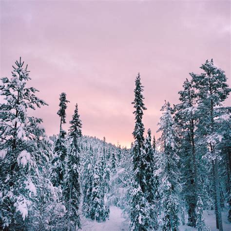 Winter Wonderland In Lapland Finland Find Us Lost