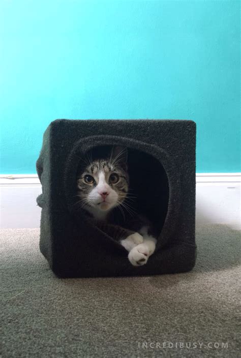 Diy Cat Cave Made From An Old Sweater Easy Five Minute Craft Cat