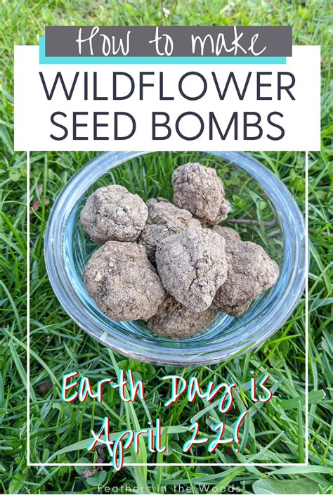 Seed Bombs And Other Nature Crafts For Earth Day In 2021 Seed Bombs