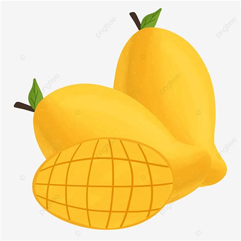 Of A Mango Clipart Transparent PNG Hd Fresh Yellow Mangoes Mango