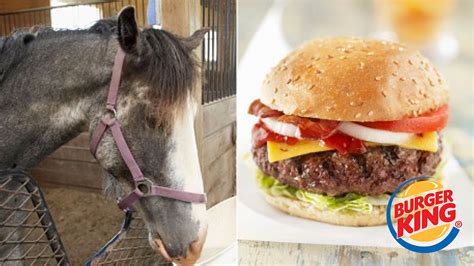 Burger King Admits Burgers Contain Horsemeat