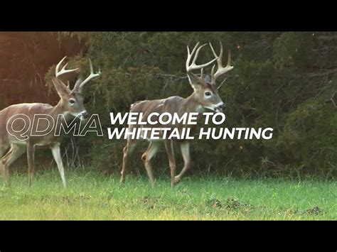 Ep 1 Welcome To Whitetail Hunting Qdmas Deer Hunting 101