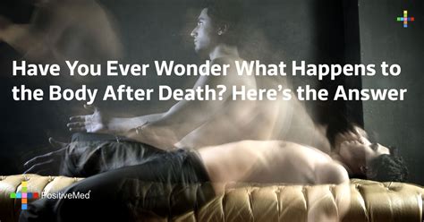 have you ever wonder what happens to the body after death here s the answer positivemed