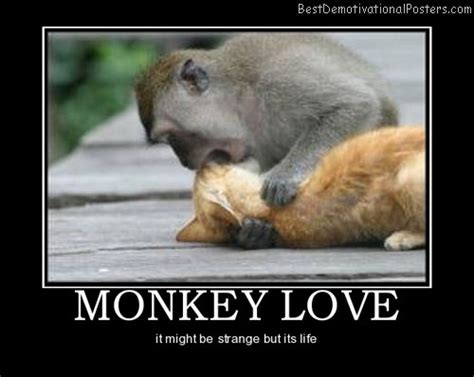 Monkey Love Quotes Quotesgram