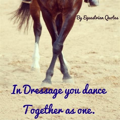 This quote, one of many we discussed today in a training we did (in our exercise of the month club training on the teachings of. Dressage Horse Quotes. QuotesGram