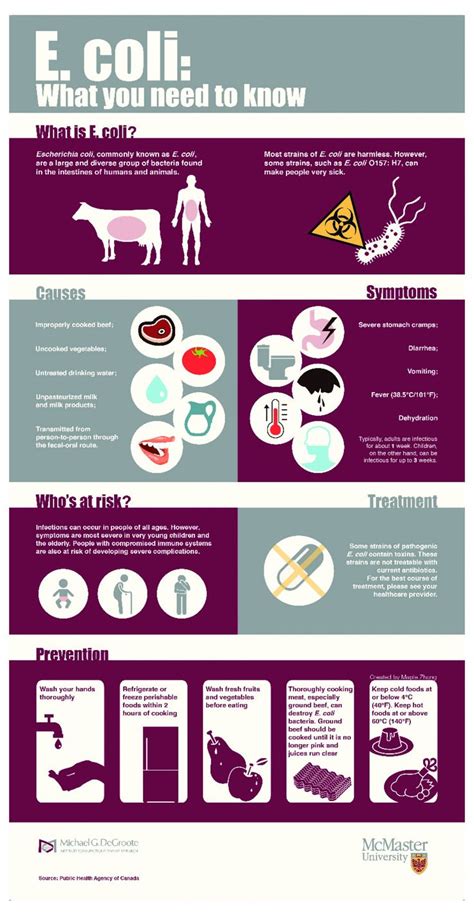What You Need To Know About E Coli Infographic Food Safety