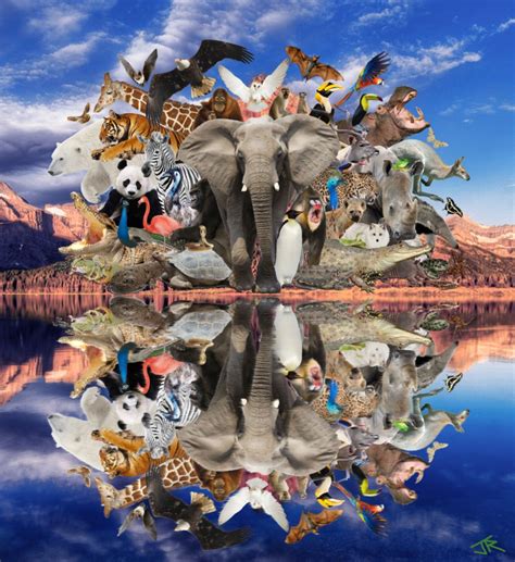 Animal Collage 1 By Friskynibblet On Deviantart