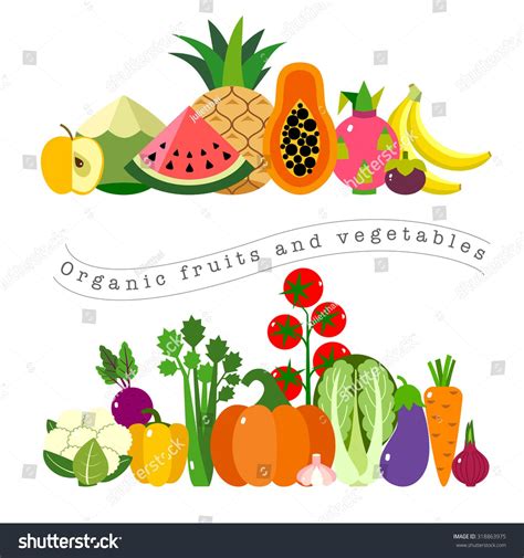 Organic Fruits And Vegetables Template Vector Illustration Set Of