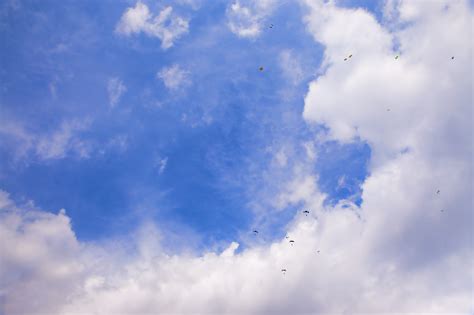 Free Photo Skydivers In Blue Sky Air Blue Falling Free Download