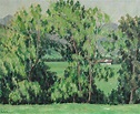 The War Sonnets of John Allan Wyeth: Wyeth's landscapes