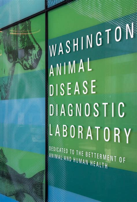 Wsus New Waddl Facility Advances Animal And Human Health Wsu Insider