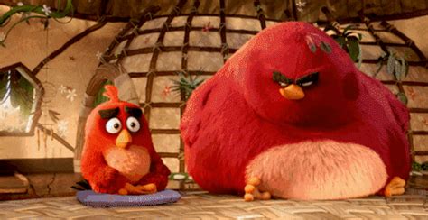 Angry Birds Gifs Get The Best Gif On Giphy
