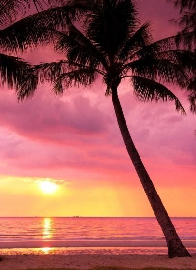 Pink Sunset In Hawaii Beautiful Sunset Scenery Places