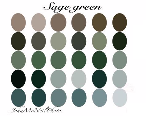 Sage Green Color Palette Green Color Palette Sage Green Colour Images