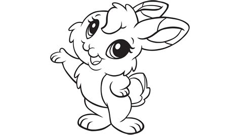 Bunny Rabbit Coloring Page 20 Picture Coloring Home