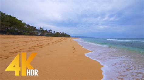 4k Virtual Walk Along Sunset Beach Oahu Hawaii Proartinc