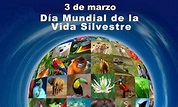 SURESTE30: 3 de marzo, Día Mundial de la Naturaleza