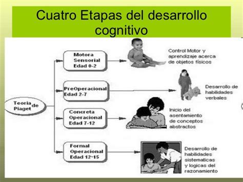 Piaget Y Las Cuatro Etapas Del Desarrollo Cognitivo Desarrollo Cognitivo Teorias Del