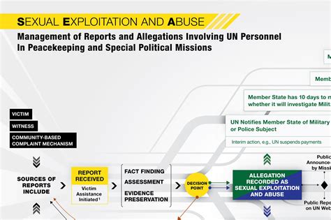 Sexual Exploitation And Abuse Infographic Infographic Studio