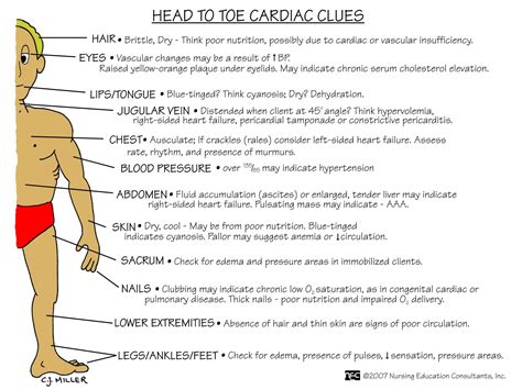 Head To Toe Cardiac Clues Nursing Mnemonics And Tips Nursing