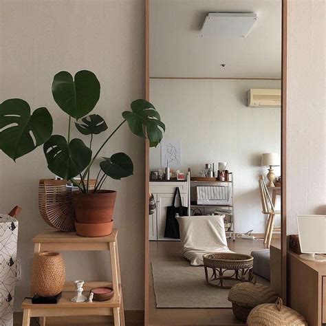 See more ideas about plants, plants are friends, green aesthetic. Image may contain: plant, table and indoor | Room interior ...