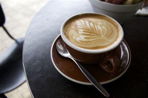 Sivutyrityksetruoka ja juomakahviocafé epicovideotmacchiato vs cortado: What's the Difference Between a Flat White and Cortado ...