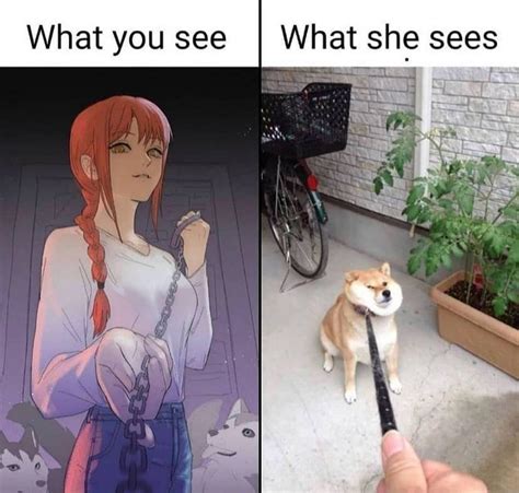 Woof What You See Vs What She Sees Know Your Meme