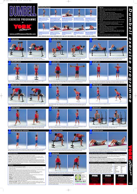 Dumbbell Workout Poster Pdf Workout Printable Planner