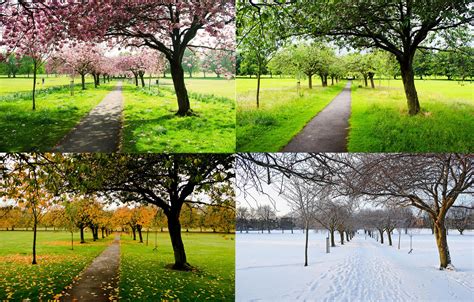 The Four Seasons Wallpaper Nature And Landscape Wallpaper Better