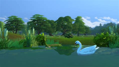 Sims 4 Pond Decor
