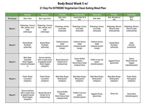 21 Day Fix Extreme Meals Limfadisk