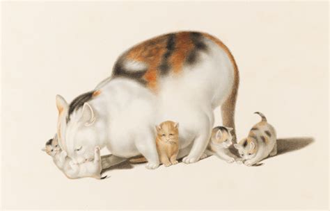Gottfried Mind 17681814 Mother Cat With Playing Kittens