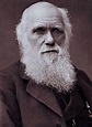 We must secure Charles Darwin's legacy – Shrewsbury's future lies in ...