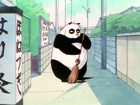 Genma Saotome Panda Long Ago When He And Soun Were Training Under Happosai He Arranged With Soun