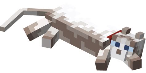 Filelying Down Ragdoll Cat With Red Collarpng Minecraft Wiki，最详细的官方