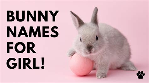 500 Bunny Names For Your Pet Rabbit Pet Rescue Blog
