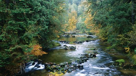 Smith River Oregon Scenery Beautiful Nature Nature Scenes