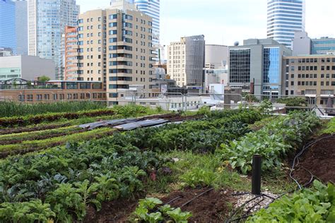 Using Green Roofs To Grow Food Coolearth Architecture Inc